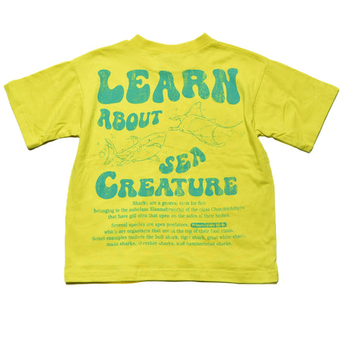 🌊 ひんやり快適な子供服🎶【オフィシャルチーム】クールタッチ海洋生物Tシャツ|90cm~150cm|1125420