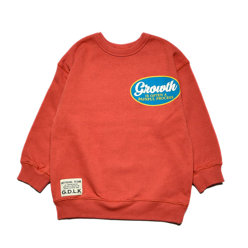 【S/M/L】★オフィシャルチーム★裏毛ワッペンテイストロゴトレーナー(1224228m)