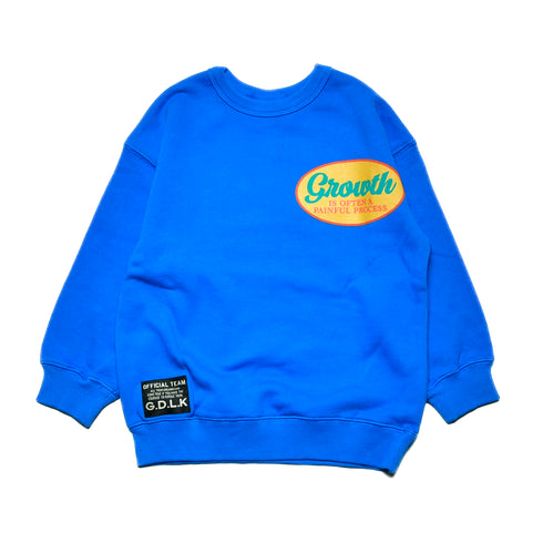 【S/M/L】★オフィシャルチーム★裏毛ワッペンテイストロゴトレーナー(1224228m)