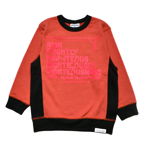 【S/M/L】★オフィシャルチーム★裏毛ワントーンプリントトレーナー(1224229m)