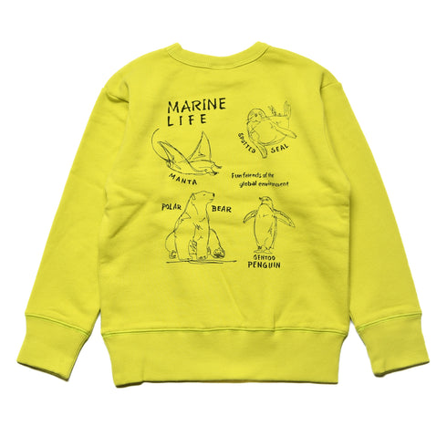 【130~150】★オフィシャルチーム★裏毛海洋生物ロゴレーナー(1224231j)